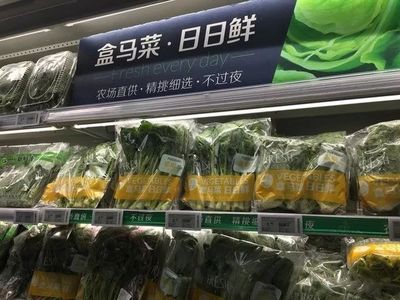 盒马鲜生 餐饮人必学的新零售‘超级物种’——解析新鲜蔬菜零售的创新之道
