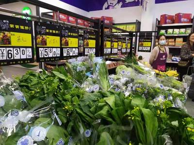 菜篮子里忆峥嵘 中山食出用蔬菜零售讲述企业成长故事