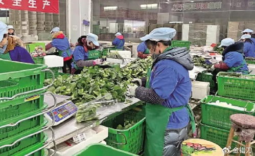 内地平价超市遭香港居民抢购，新鲜蔬菜零售何以成焦点？