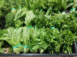 上周云南省生活必需品零售价格观察 6涨1平5跌，新鲜蔬菜价格回落