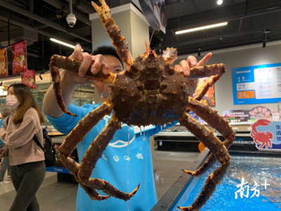 探营盒马佛山店 二线城市首店落地，本地化策略打造鲜活粤式消费新体验