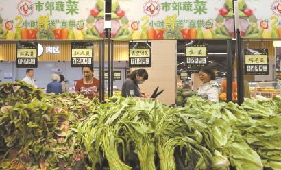 确保日供蔬菜新鲜安全 上海市郊蔬菜2小时直供 新鲜蔬菜零售新模式